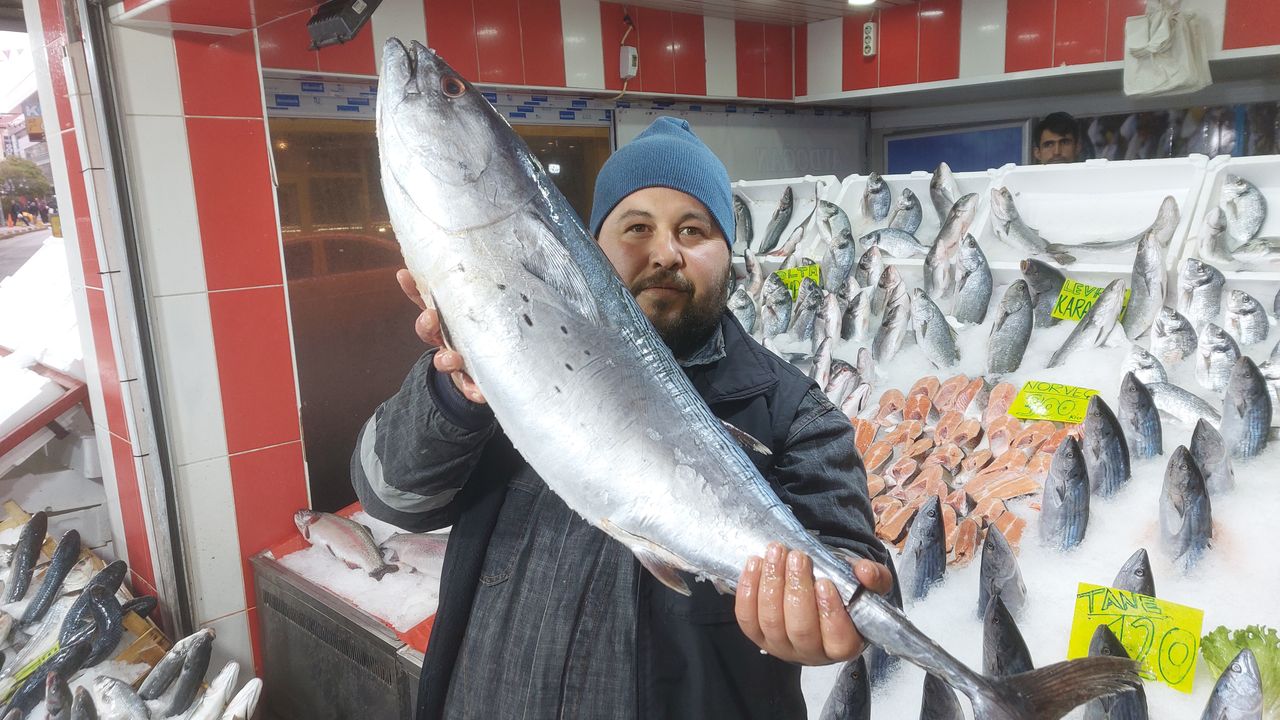 20 kiloluk Ton balığını kim yiyor ?