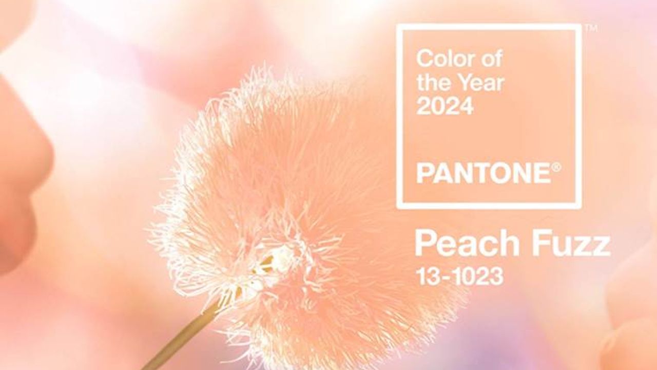 Pantone 2024 Yılının Rengini Şeftali Tüyü Olarak Belirledi