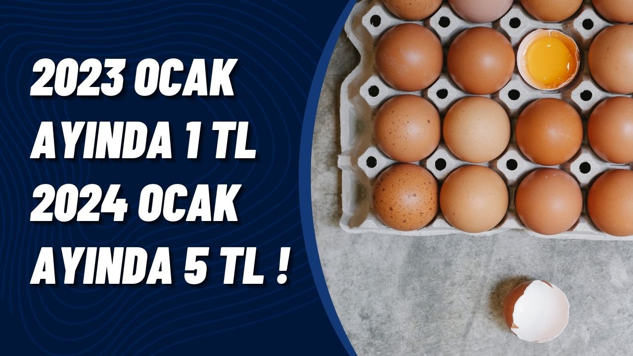 Yumurta Fiyatları Yükselişte: 1 TL'den 5 TL'ye Yükseldi!