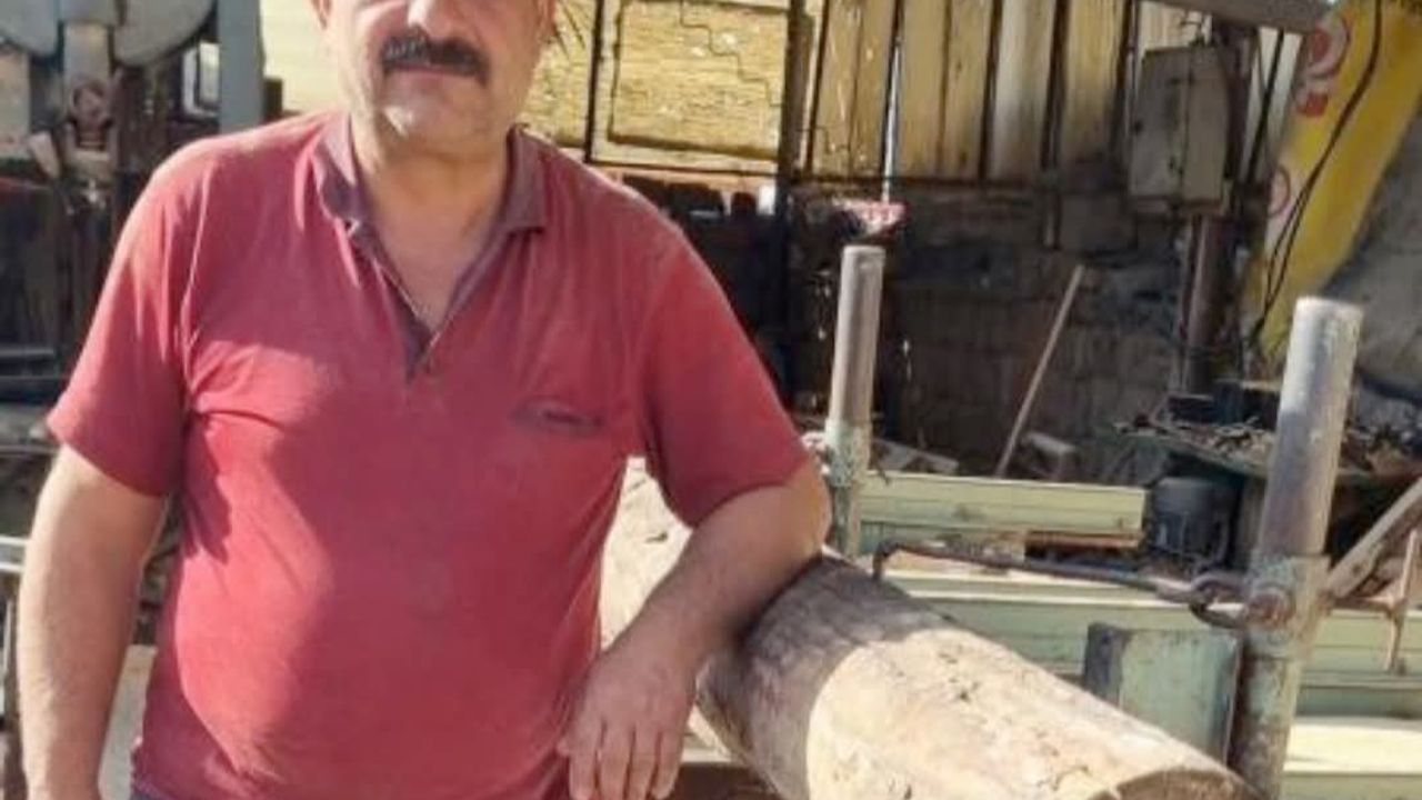 İşçi tomruğun altında can verdi