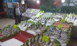 Kırıkkale'de balığın adresi Tufanlar