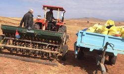 Kırıkkale'de  tarım alanları ekilmeye başlandı.
