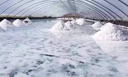 Spor camiası Delice tuzunu tercih ediyor