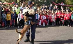 Jandarma Asayiş Köpeği ‘Tutar’ ilgi çekti