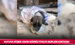 Kuyuya düşen köpeği itfaiye ekipleri kurtardı