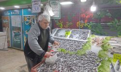 Tufanlar'da Hamsi 30 Tl
