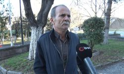 Sokak köpekleri hastanelik etti