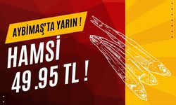 Kırıkkale'de Hamsi Bereketi: Aybimaş AVM'de Kilosu 49.95 TL!