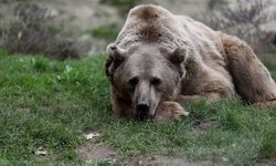 Babasının Polis Arabasını Modifiyeledi 5 Ay Hapis Cezası Aldı