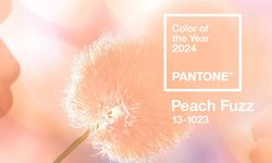 Pantone 2024 Yılının Rengini Şeftali Tüyü Olarak Belirledi