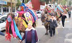 Folklorik Deve güreşleri başlıyor