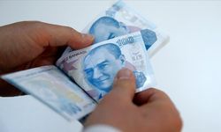 TİHEK Memur Alımı  yapılacak