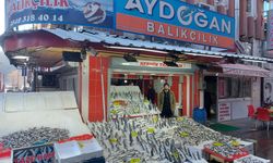 Kar yağmadı, balık fiyatları arttı