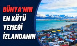 İzlanda'nın Lezzet Sınavında: Hakarl ile Tanınan Dünyanın En Kötü Yemeği