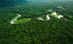 Amazon'daki Kuraklık, Küresel Isınmanın Yıkıcı Etkilerini Gözler Önüne Seriyor