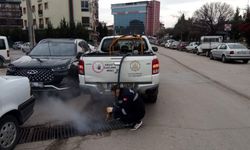 Kırıkkale'de Haşerelerle Etkin Mücadele