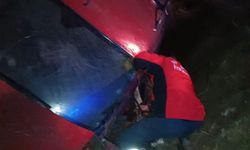 Otomobil sulama kanalına düştü