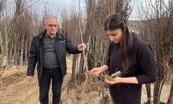 Fidanlar yerinde denetimden geçiyor