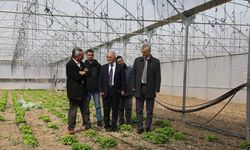 İl Müdürü Fatih Ateş Hisarköy'deli Seraları Ziyaret Etti