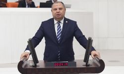Ahmet Önal CHP’nin DEM İle İlişkisi Hakkında Ne Düşünüyor?