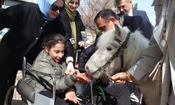 Kırıkkale’de Otizmli Öğrencilere Atlı Terapi