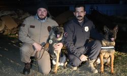 Gecenin Ayazında ''Hassas Burunlar'' Afetlere Hazırlanıyor