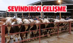 Kırıkkale Hayvan Pazarı Açıldı