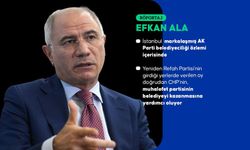 Efgan Ala  sağ partileri niçin eleştiriyor ,?