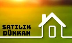 İcradan Satılık 410 m² Dükkan