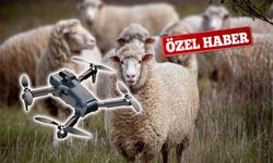 Koyunlar Drone ile Aranıyor