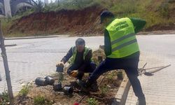 Yahşihan Belediyesi Çalışmalarını Sürdürüyor
