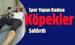 Spor Yapan Kadına Köpekler Saldırdı