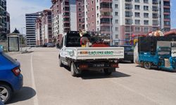 Yahşihan Böceklere Karşı İlaçlanıyor