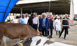 Kırıkkale Valisi Kurban Pazarında
