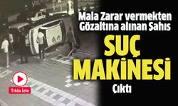 Gözaltına Alınan Şahıs Suç Makinesi Çıktı