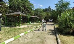 Yahşihan'da  Park Bahçe Bakım Çalışmaları Devam Ediyor