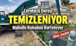 Çoruhözü Deresi Temizleniyor