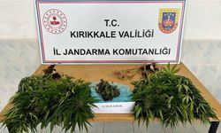 Jandarma Kırıkkale'de Uyuşturucuya Geçit Vermiyor
