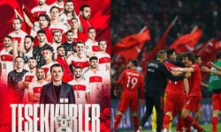 Teşekkürler milli takım