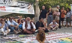 Hasan Yaman Yüce, Sokak Hayvanları İçin Ankara'da