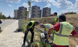 Yahşihan’da Yeşil Alan Çalışmaları Sürüyor