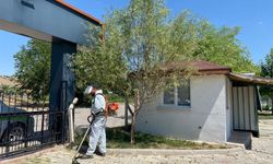 Yahşihan’da Yeşil Alanlar Yenileniyor