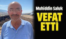 Muhiddin Saluk Vefat Etti