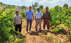 İl Müdürü Çiftçi Ziyaretlerine Devam Ediyor.