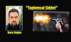 ''Toplumsal Şiddet'' Barış Doğan Yazdı