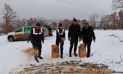 Kırıkkale’de Yaban Hayvanları İçin Doğaya Yem Bırakıldı