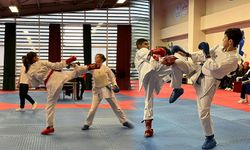 Genç Sporcular Karate Müsabakasında Ter Döktü