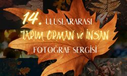 Kırıkkale’de "Tarım, Orman ve İnsan" Fotoğraf Sergisi Başlıyor