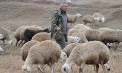 İstanbul’dan Kırıkkale’ye Döndü, Hayvancılıkla Huzuru Buldu