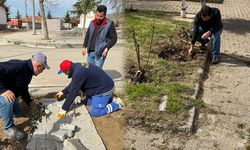 Hacılar’da Çevre Düzenleme Çalışmaları Devam Ediyor